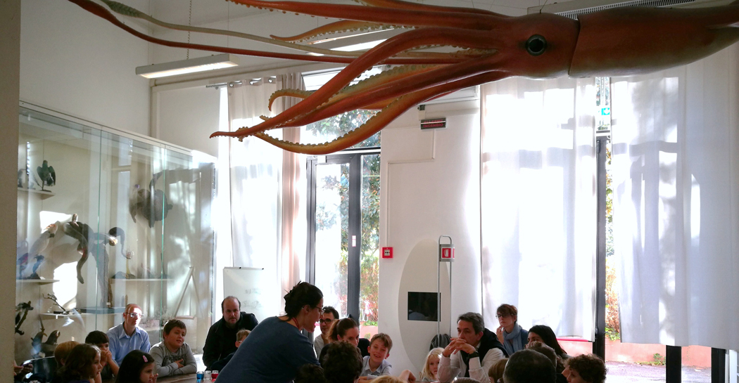 Scienzofficina: microscopica vita Scienzofficina: microscopica vita