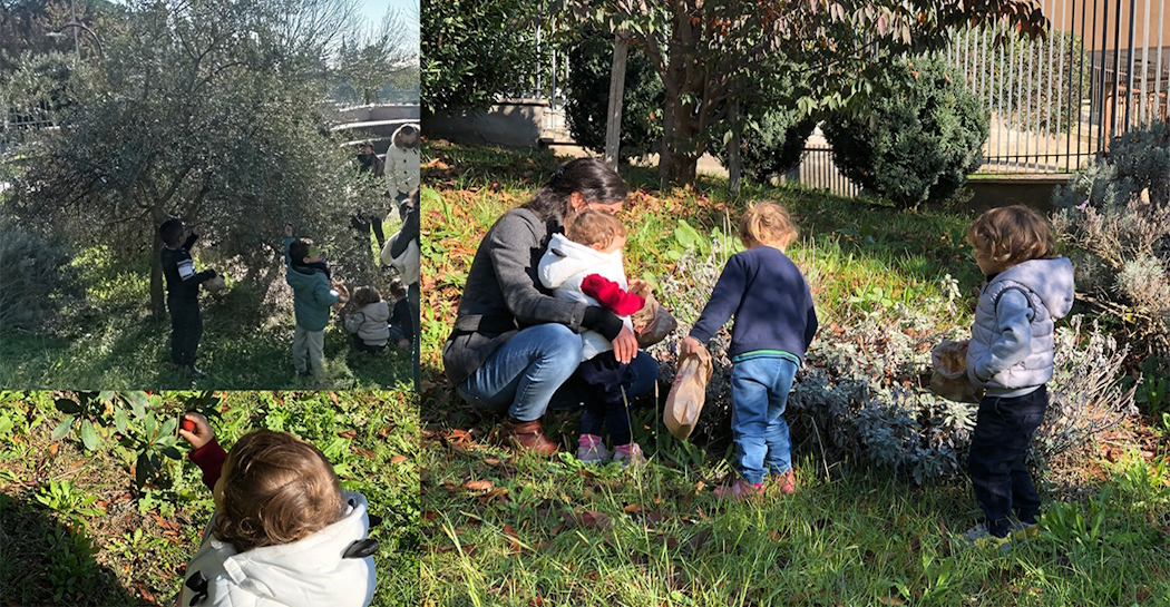 Bambini e adulti raccolgono olive, corbezzoli ed erbe aromatiche nel “Giardino Pleistocenico” del Museo di Casal de’ Pazzi Bambini e adulti raccolgono olive, corbezzoli ed erbe aromatiche nel “Giardino Pleistocenico” del Museo di Casal de’ Pazzi