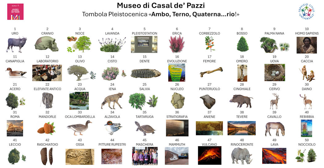 Cartellone tombola Casal de' Pazzi Cartellone tombola Casal de' Pazzi