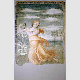 Gerini Gerino (Pistoia 1480 - Pistoia post 1529) La musa Erato danza al suono di un tamburello, 1510, Dipinto murale, cm. 189x295